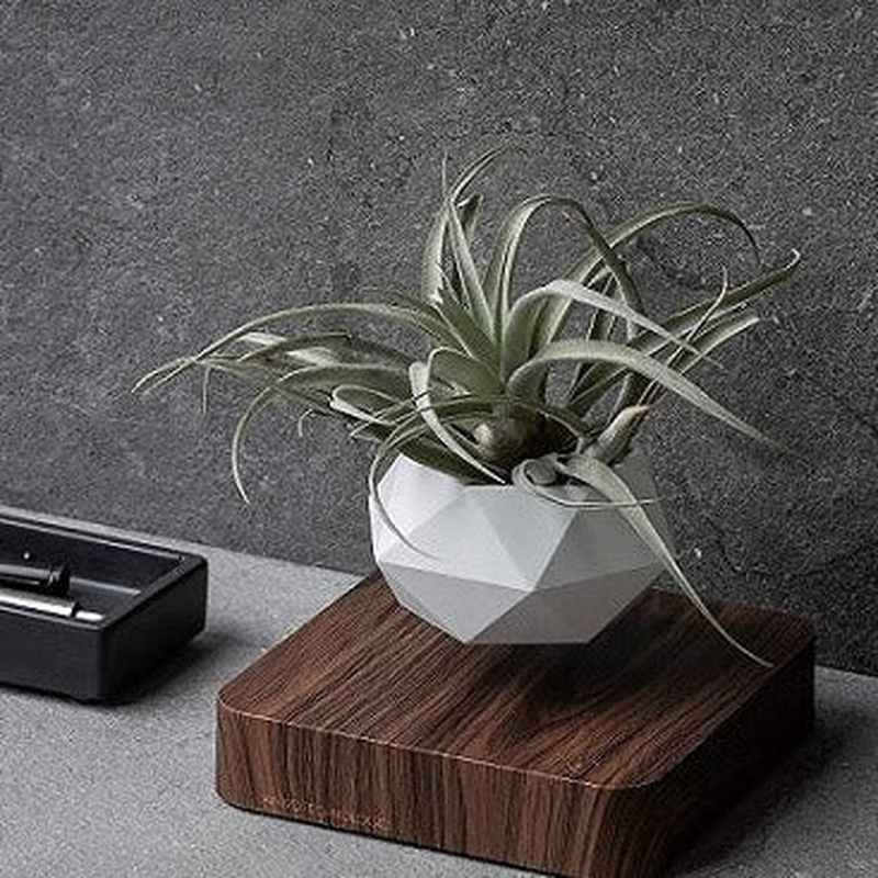 Homezie-Homezie Drijvende Bloempot | Magnetische Levitatie | Modern Decor voor Binnen