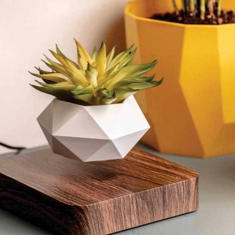 Homezie-Homezie Drijvende Bloempot | Magnetische Levitatie | Modern Decor voor Binnen