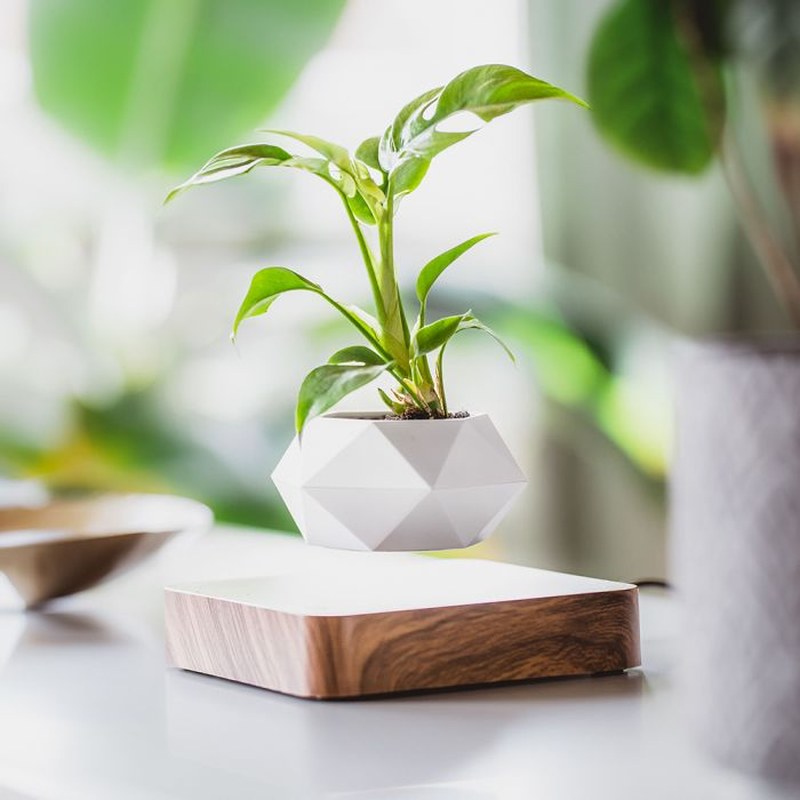 Homezie-Homezie Drijvende Bloempot | Magnetische Levitatie | Modern Decor voor Binnen