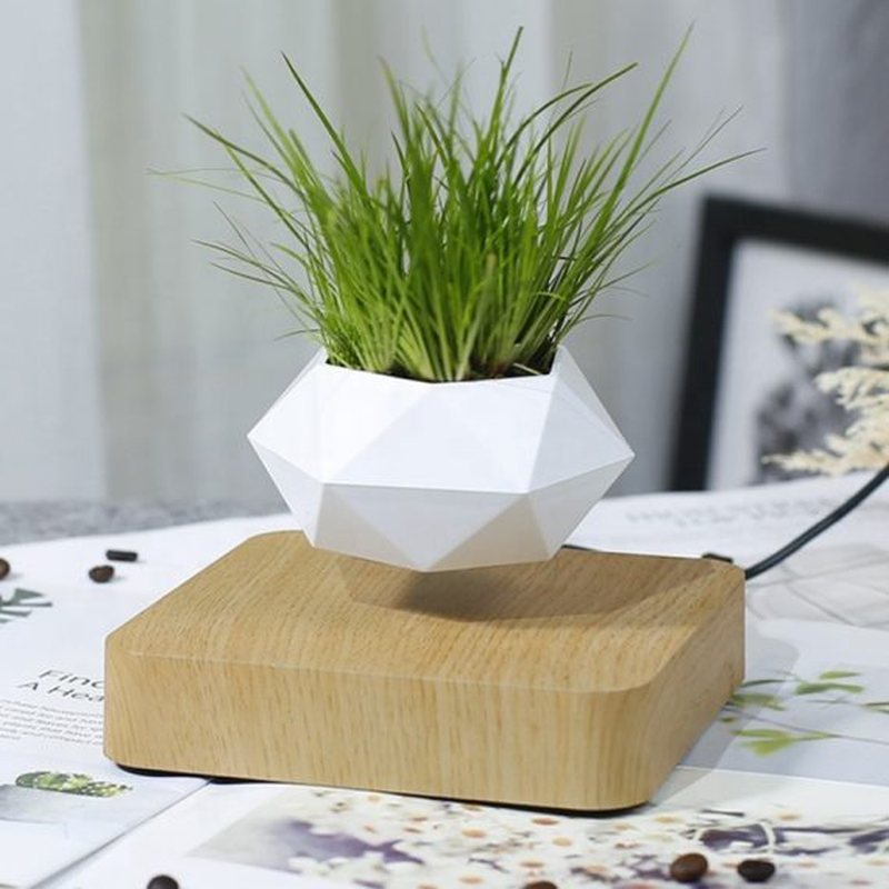 Homezie-Homezie Drijvende Bloempot | Magnetische Levitatie | Modern Decor voor Binnen